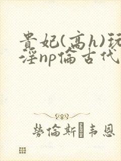 贵妃(高h)玩淫np伦古代
