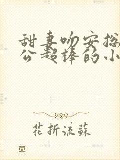 甜妻吻安总裁老公超棒的小说