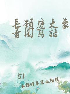 长颈鹿大象兔子看图写话