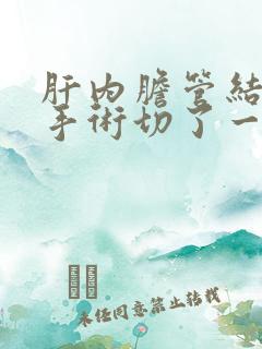 肝内胆管结石动手术切了一半的肝