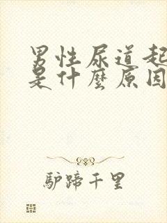 男性尿道起水泡是什么原因