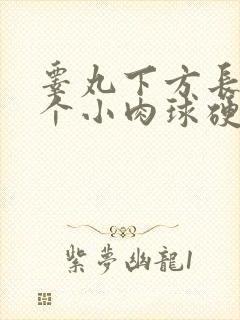 睾丸下方长了一个小肉球硬硬的