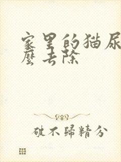 家里的猫尿味怎么去除