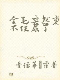 金毛突然变得憋不住尿了