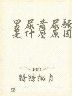 男尿黄尿骚味重是什么原因