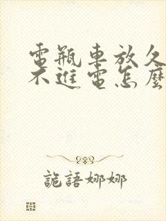 电瓶车放久了充不进电怎么回事