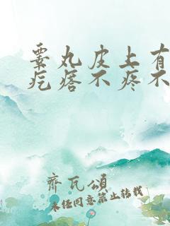 睾丸皮上有白色疙瘩不疼不痒