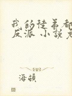 我的徒弟都是大反派 小说免费阅读