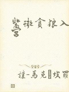 紫微贪狼入夫妻宫