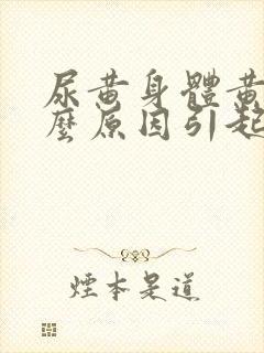 尿黄身体黄是什么原因引起的