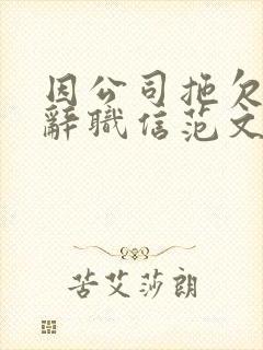 因公司拖欠工资辞职信范文