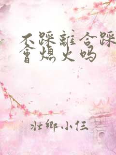 不踩离合踩刹车会熄火吗