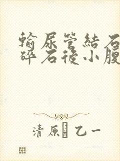 输尿管结石体外碎石后小腹一直疼