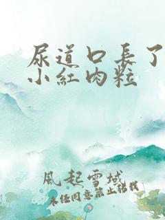 尿道口长了好多小红肉粒