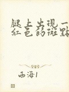 腿上出现一小片红色的斑点咋回事