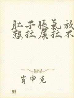 肚子胀气放屁多想拉屎拉不出来