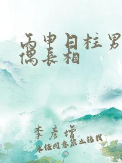 丙申日柱男命配偶长相