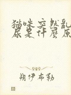 猫咪突然乱拉乱尿是什么原因