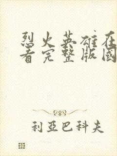 烈火英雄在线观看完整版国语