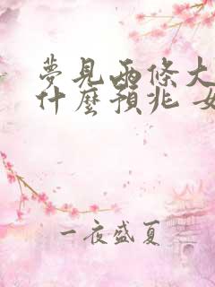 梦见两条大蛇是什么预兆 女性