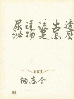 尿道流出透明分泌物是怎么回事