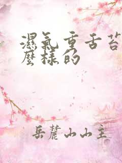 湿气重舌苔是怎么样的