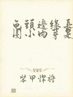 龟头边缘长了一圈小肉芽是什么原因