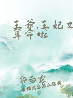 王爷,王妃又去算命啦