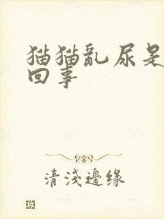 猫猫乱尿是怎么回事