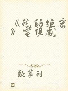 《我的绝密生涯》电视剧