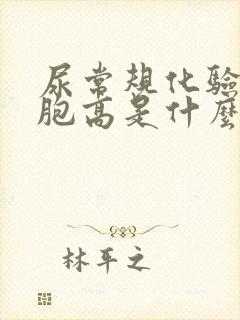 尿常规化验白细胞高是什么原因