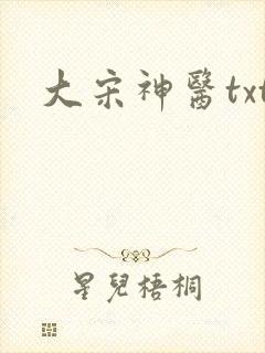 大宋神医txt