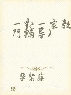 一对一家教(上门辅导)