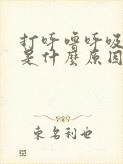 打呼噜呼吸暂停是什么原因引起的