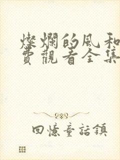 灿烂的风和海免费观看全集电视剧