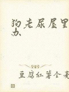 狗老尿屋里怎么办