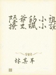 陆爷的小祖宗又撩又飒小说完整版