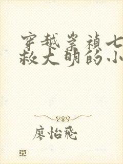 穿越崇祯七天拯救大明的小说