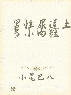 男性尿道上有好多小肉粒