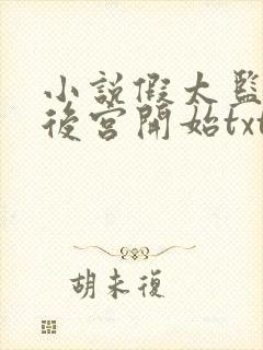 小说假太监:从后宫开始txt