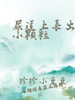 尿道上长出一些小颗粒