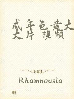 成年色黄大色黄大片 视频