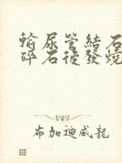 输尿管结石体外碎石后发烧