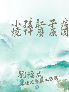 小孩肚子痛还发烧什么原因引起的