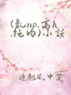 (乱np,高h,纯肉)小说