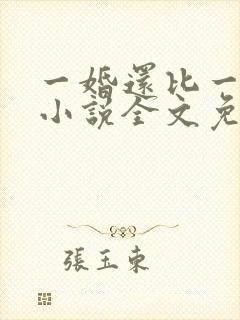 一婚还比一婚高小说全文免费阅读