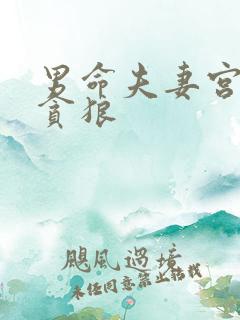 男命夫妻宫武曲贪狼