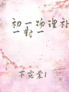 初一物理补习班一对一