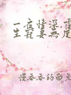 一夜情深,霍先生宠妻无度小说免费看