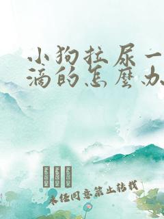 小狗拉尿一滴一滴的怎么办